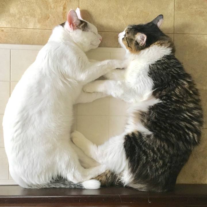 B201f483 5341 47c3 8b81 a7f1b18909c4