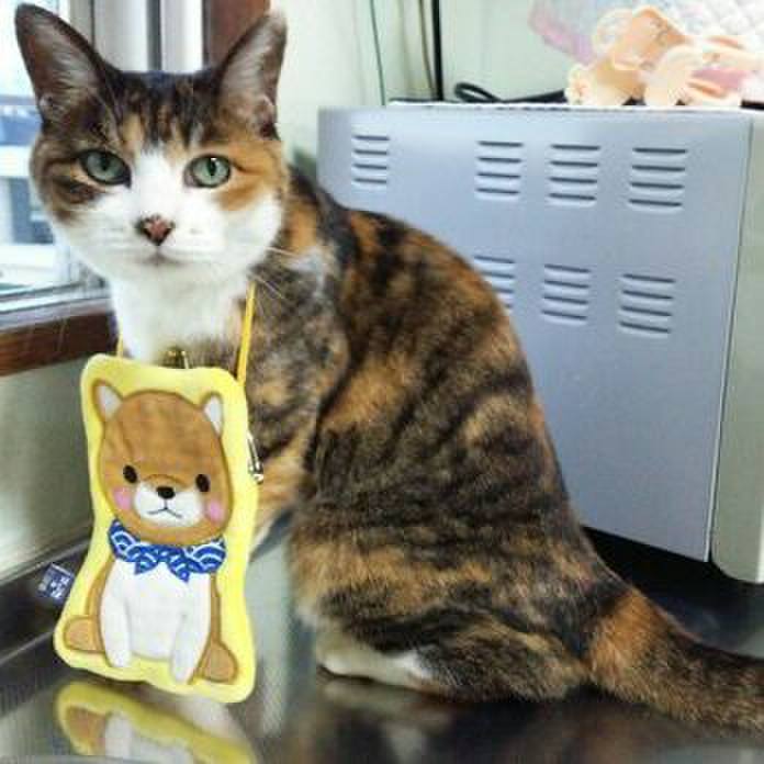 B201f647 9c7e 4a54 b3d0 aa69c462b21d