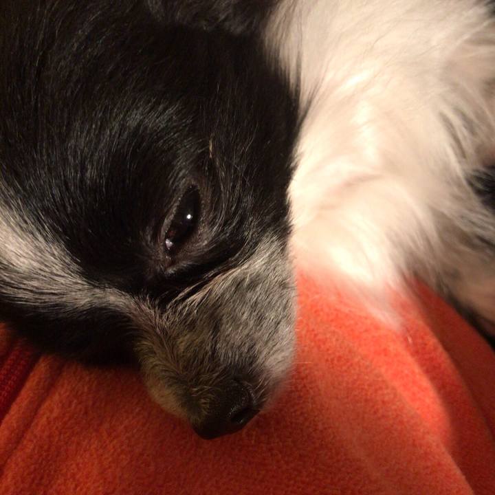 B202fd38 800b 406c bd0e 594c48636ce9