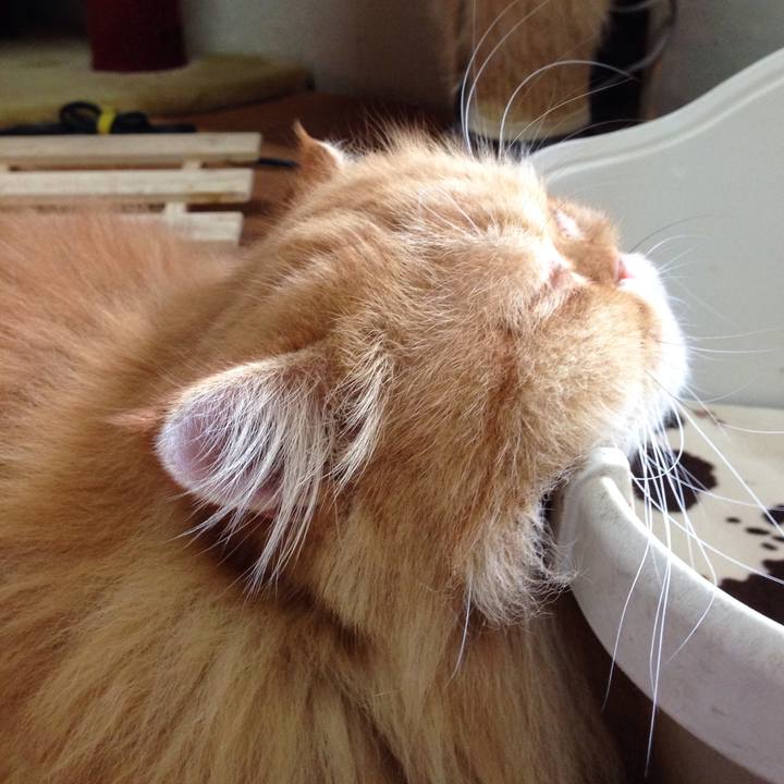 B203c976 0f7f 4201 9cb5 1b598b77f50a