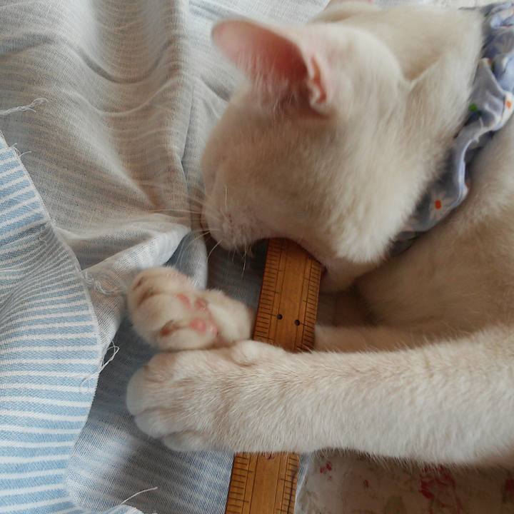 B203f9f7 a19f 4da9 9162 08a3e95f28e4