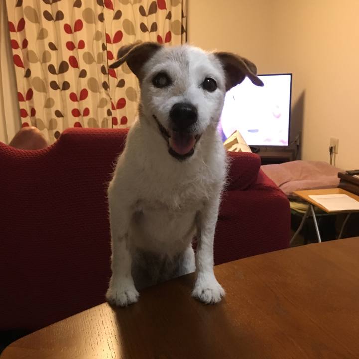 B203ff7a b99e 4c92 9405 8eca5c2dd980