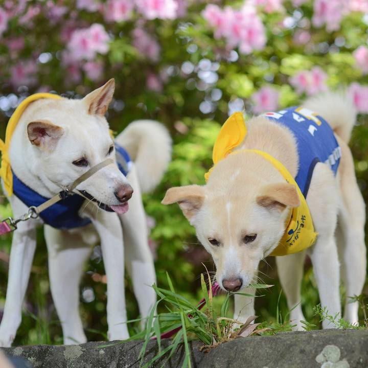 B2045c0f 46cd 49d1 b4e1 a28f4857eb92