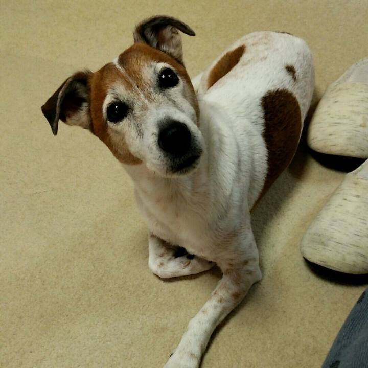 B204607a eab9 480e aff2 d6be537acb12