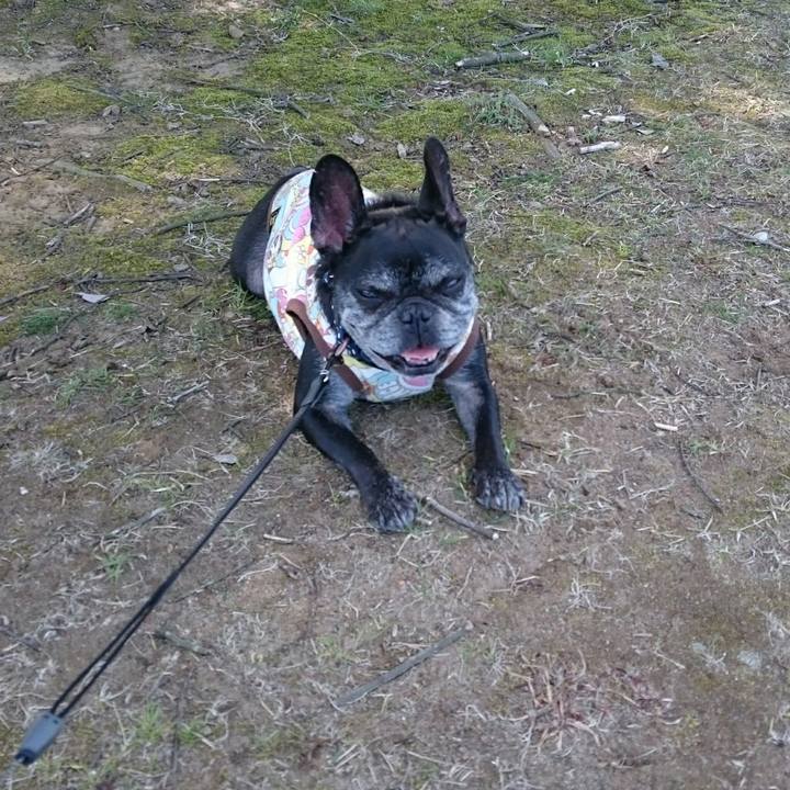 B2046f04 ded4 4609 908a a5a98ad35914