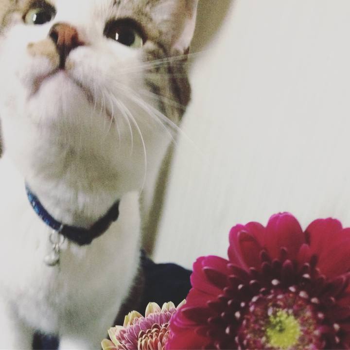 B20502cf cc31 4f98 8a71 6cad7db60a51