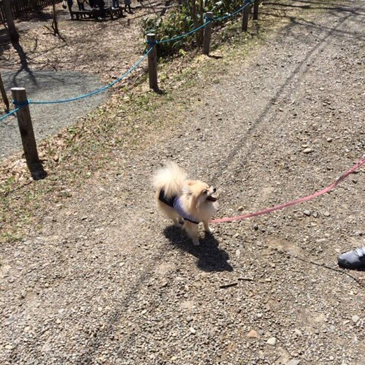 B2054283 f856 4ee2 bee9 7a595baec1f4