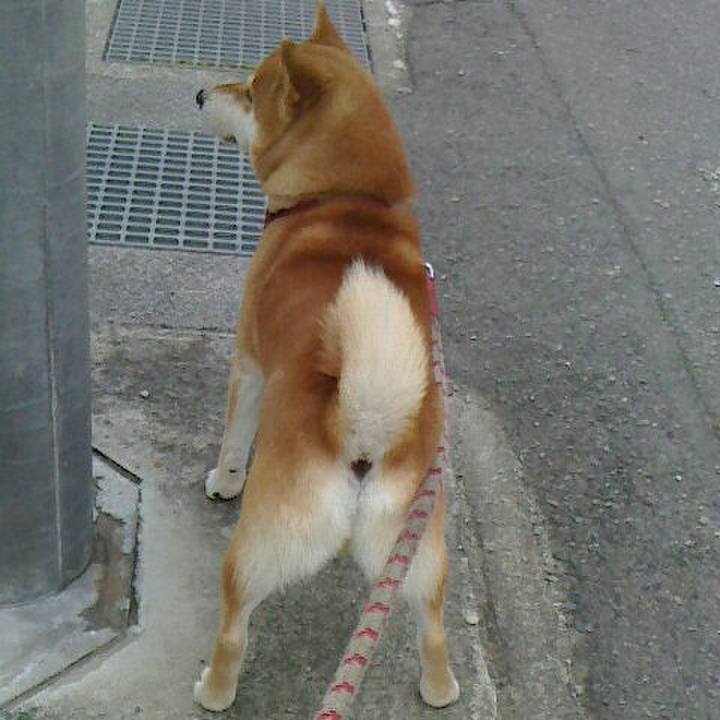 B2059f91 bcd0 44f8 840b 1d491770831d