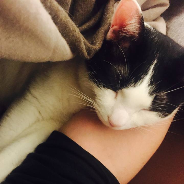 B205a497 7abe 4c9f a375 5e43d3b3b31e