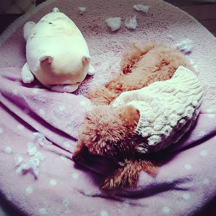 B205a737 bbff 4f98 b985 7664d8a33239