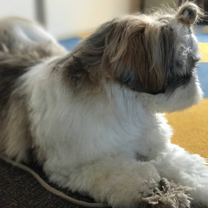 B20628a9 be19 4292 957b ed9ed00db092