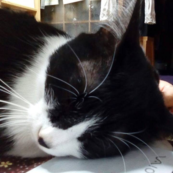 B2062be2 dac4 4cde b7ce 1f3575a216e9