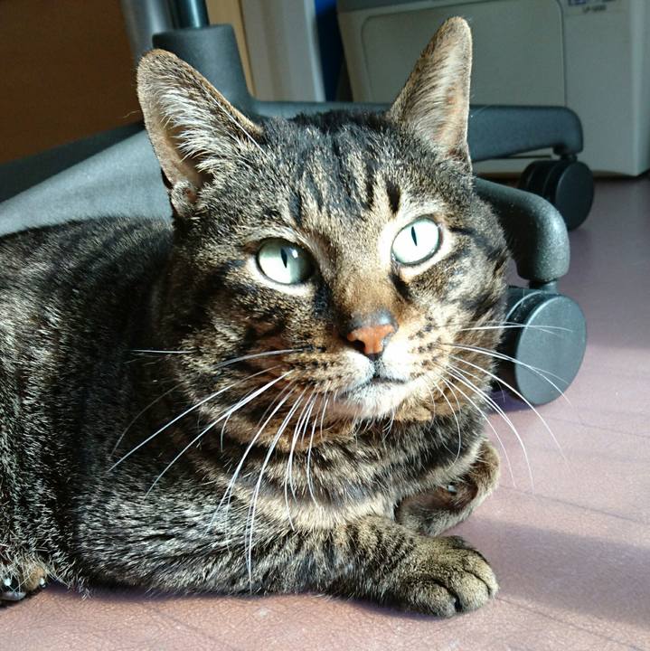 B206fbe2 dc54 4a9c 8547 ad4e44ea20c8