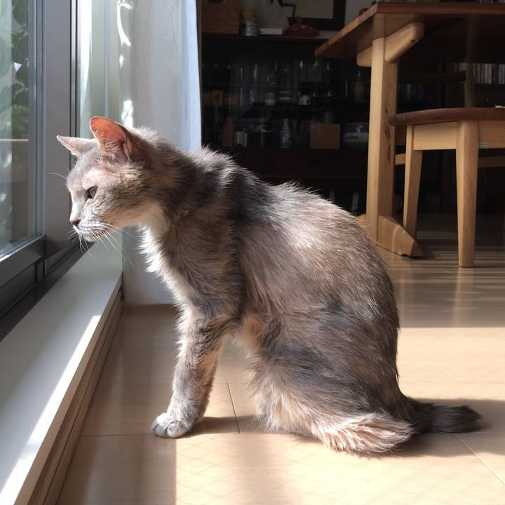 B20767f1 0367 46cf 9fa7 f8b30a50c998