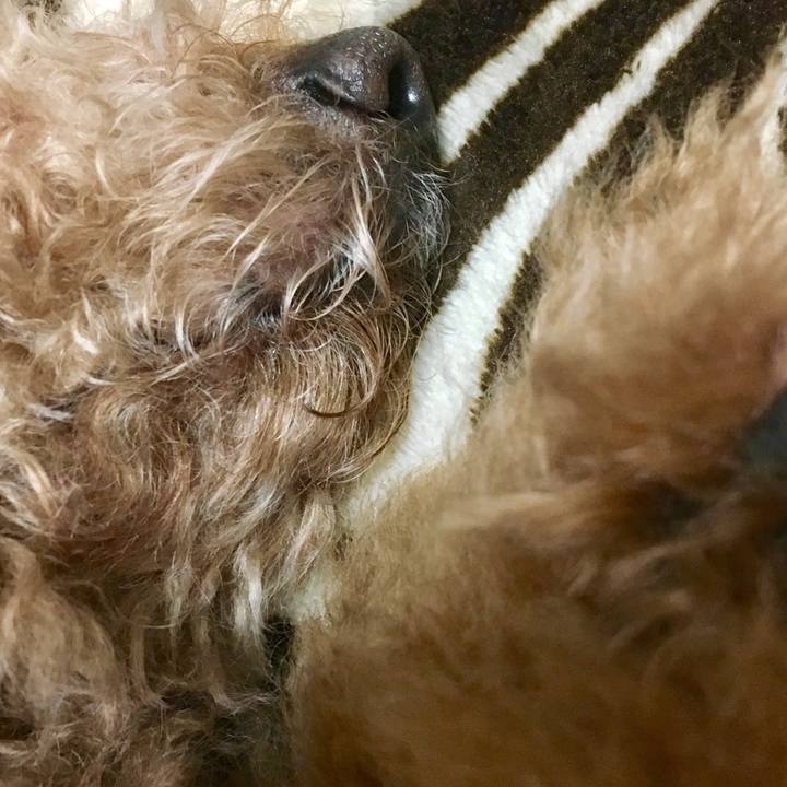 B207c1b7 6908 4f70 8d77 08014d01f60e