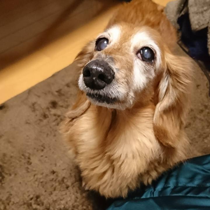 B208186d d25d 46ea 805e b89ec115f59d