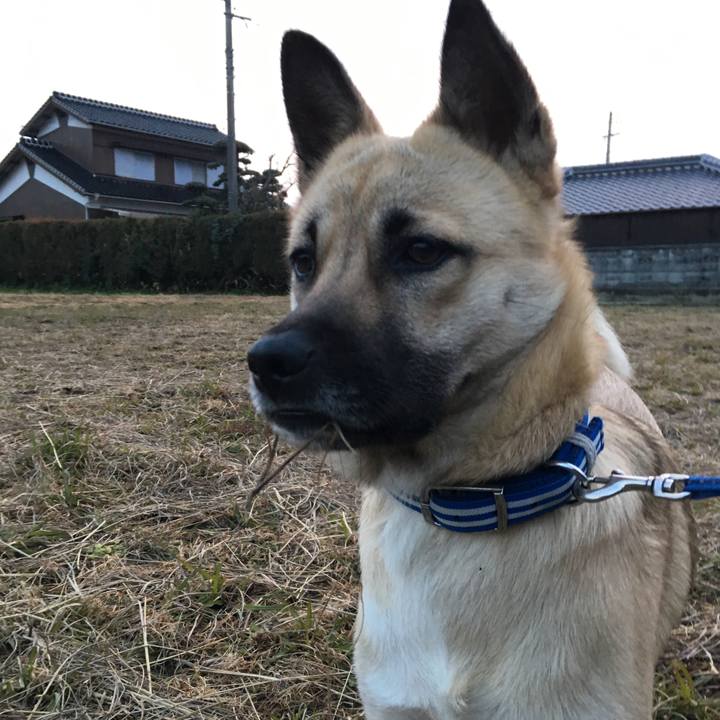 B2083d3b 58b1 497e 92bf 91d35e915c4a