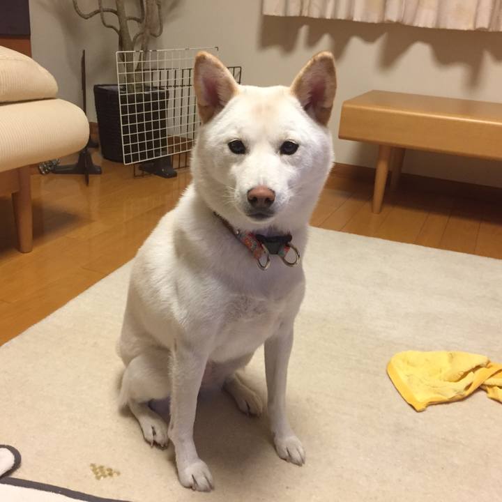 B208b1bc f86a 42bc b7fd 4a60b624a9cf