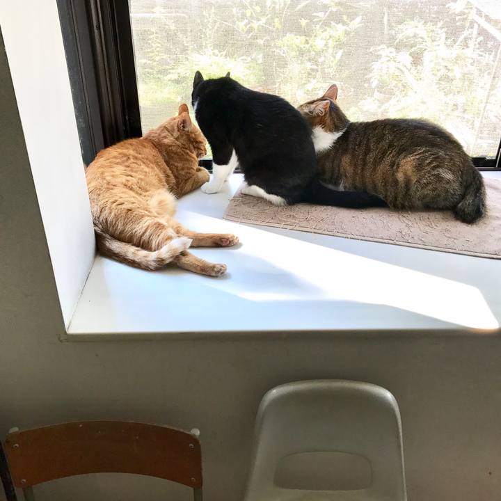 B209649a ab04 4f5b af64 af6068d92fc4