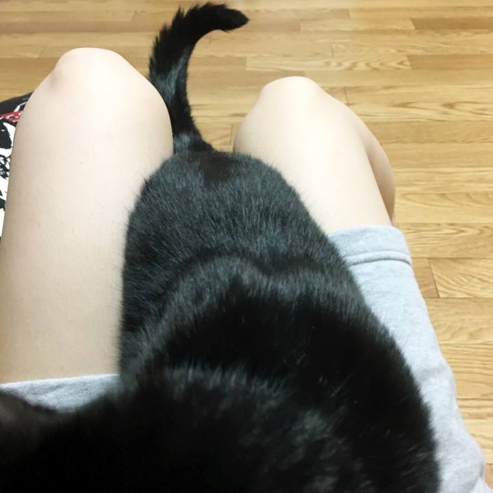 B20a05c7 b7e0 4c84 ac83 ae0c01cb79d6