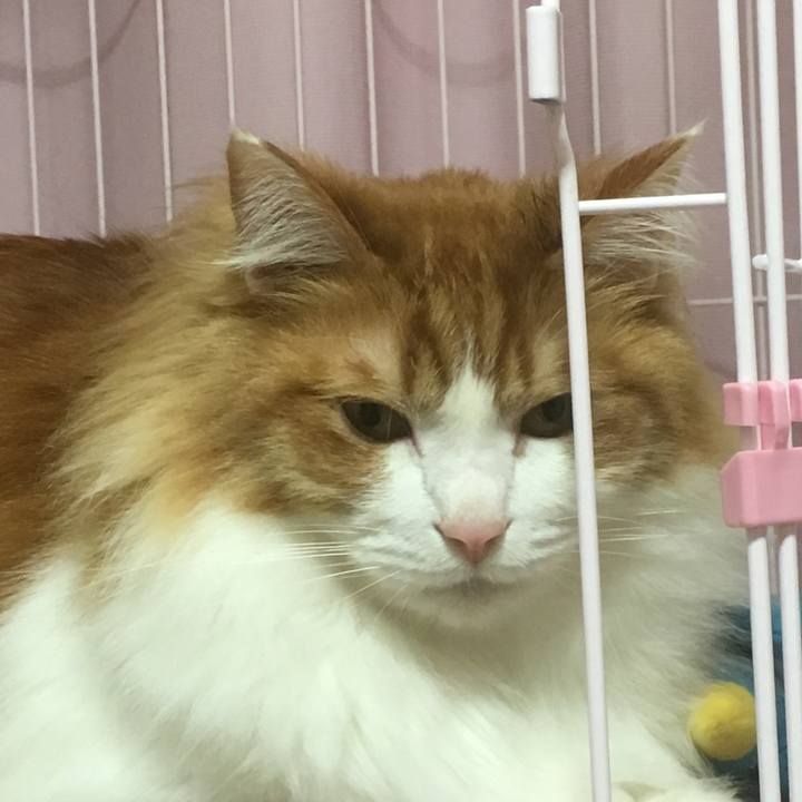 B20a5b1e c06b 4384 95ab 0d5c50ee3710