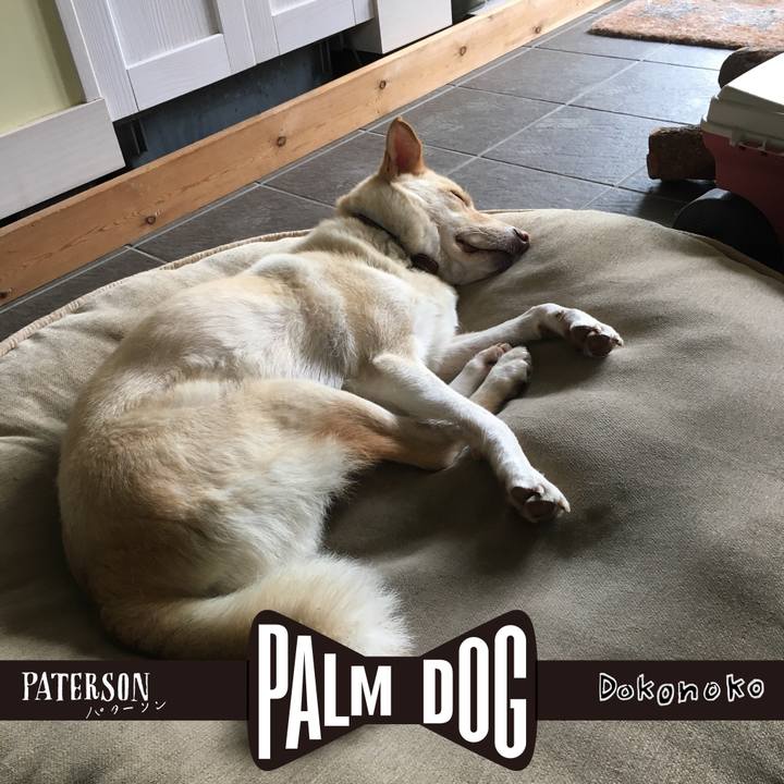 B20ad296 308d 4585 a94a fc393897e135