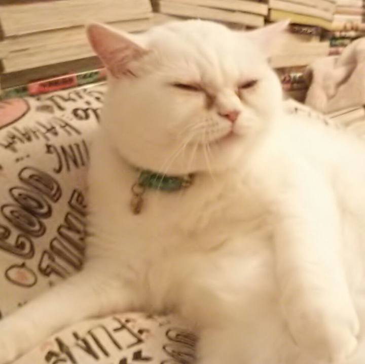 B20bcabf d673 47da b5ab 5e7a5b23f7bf