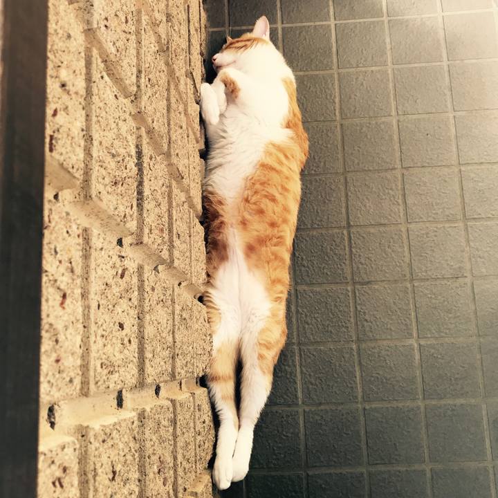 B20c7fe4 1fe3 423f 8a12 caf5e03bbfee