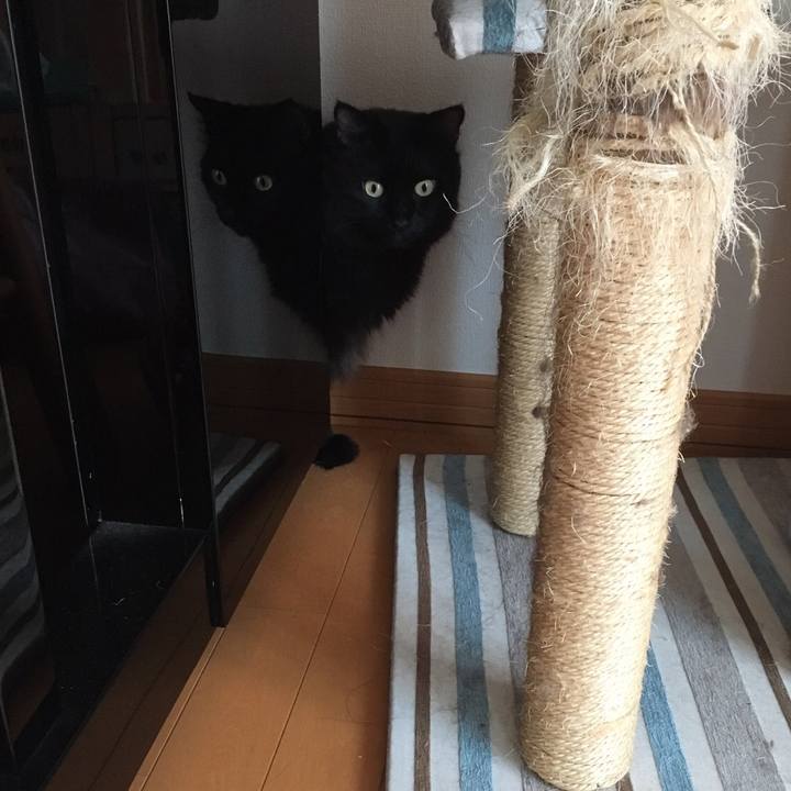 B20d0773 0931 4a7c ae06 ae387a830032