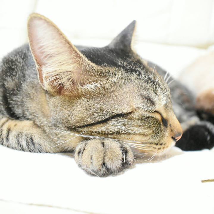 B20d2487 a75f 4ebc a94d b85b8ccce683