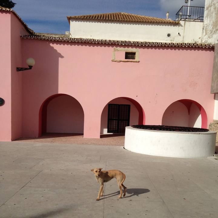 B20d2571 1cac 46e1 a086 cea678eeb509