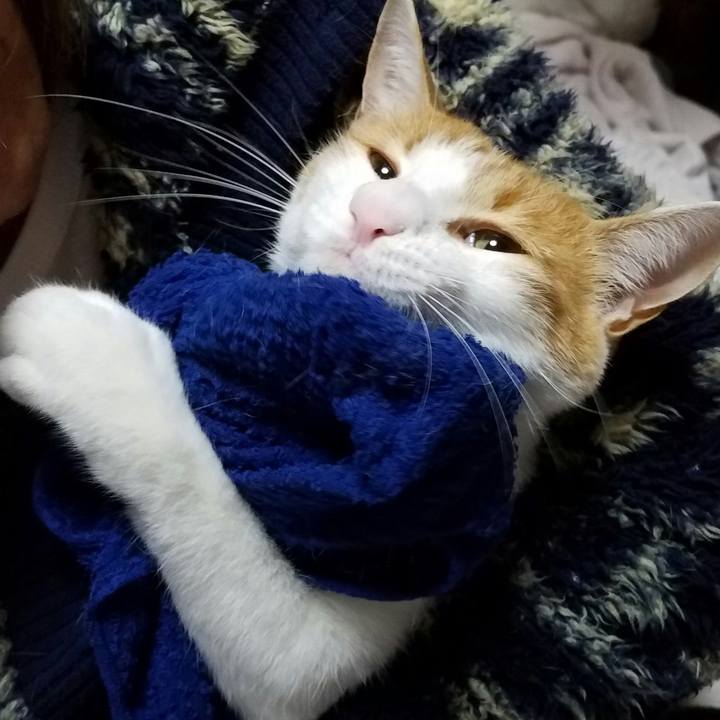 B20d2d44 9b02 463b a053 049f3d7d9503