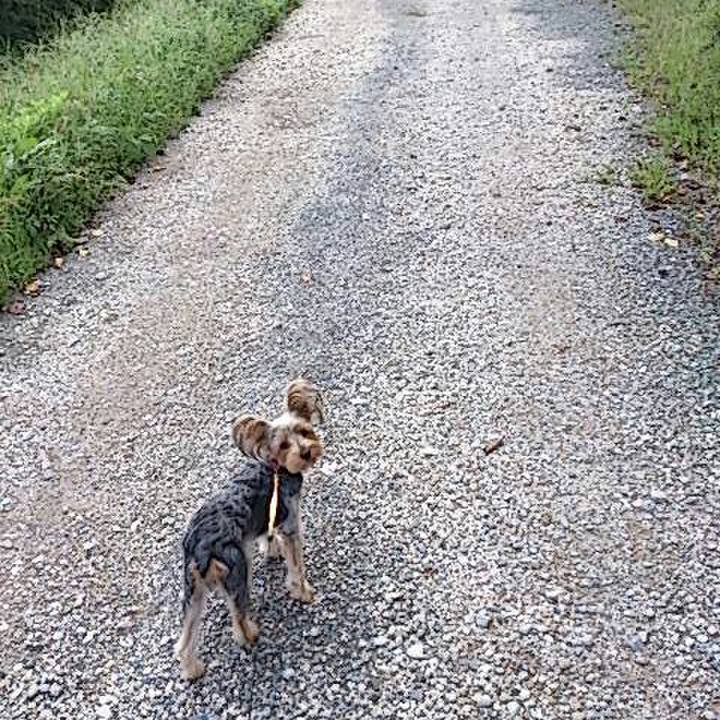 B20d2e92 ce0f 44a2 8b91 b05f747c1309