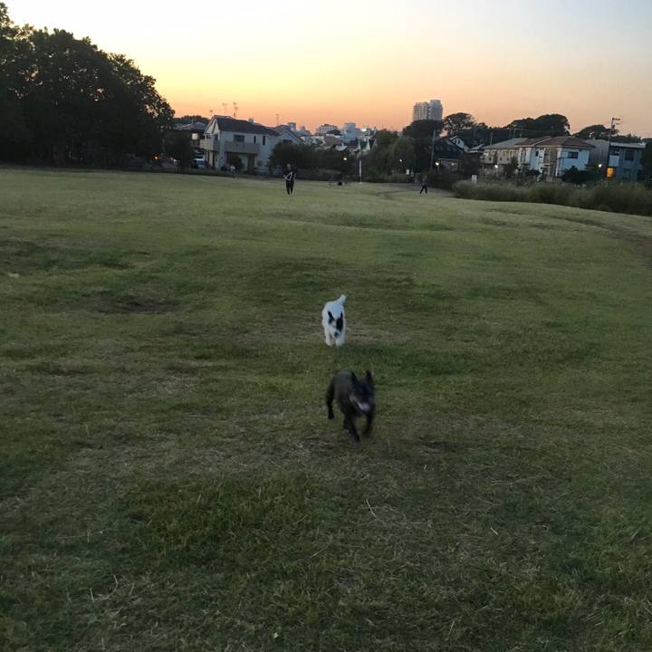 B20d709a 983e 4886 88b2 aa002a0d87e8