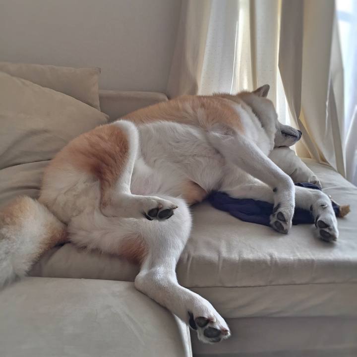 B20dd219 c016 4f91 bade 3bfe213a7985