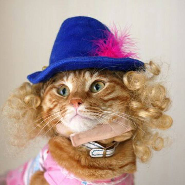 B20e2189 f958 46c0 aafc 29b87a9d98b4