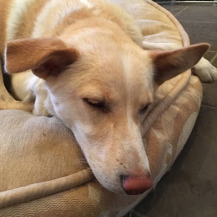 B20e38ed f853 4486 bb96 21531277839f