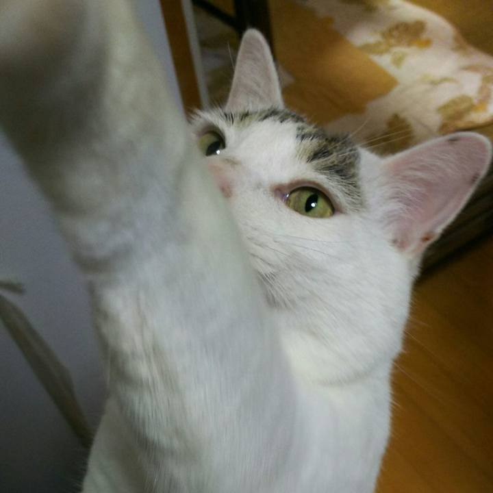 B20e5676 59f6 404a 8f36 89fa20eac0ae