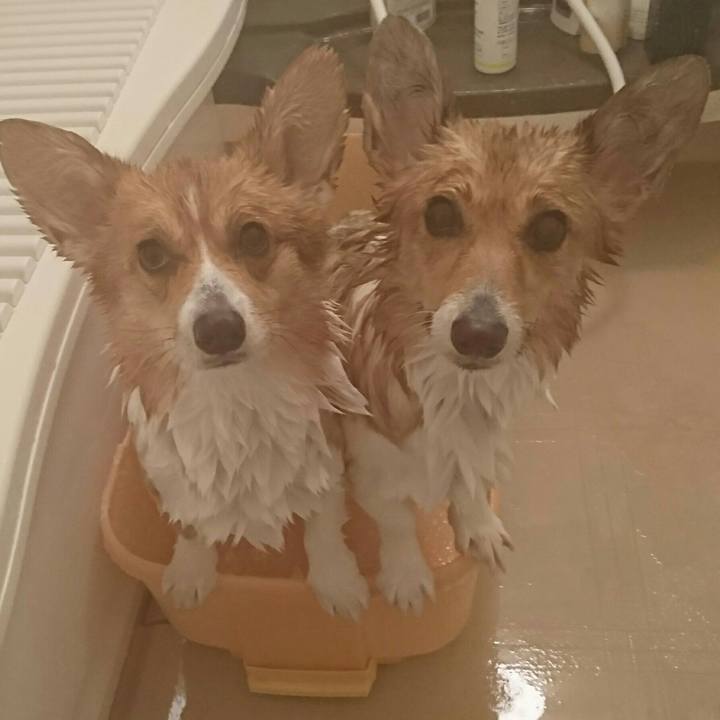 B20eaa54 5a3d 48ca 9c21 e0f651c871a9