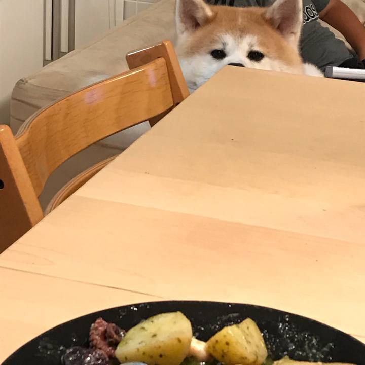 B20ec94b 9976 403a 8fdd bc1dd42205a8