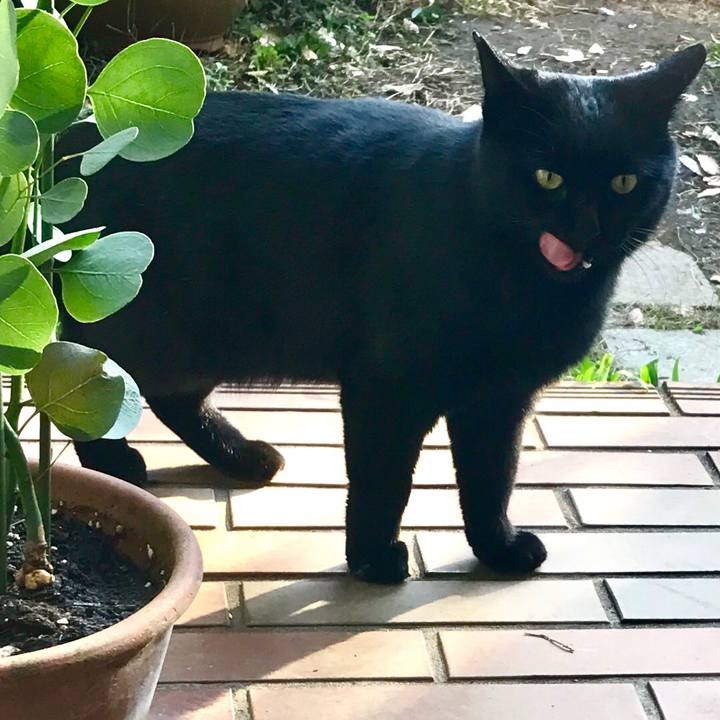 B20f026c 078b 4cd3 8e57 0b6a682f92f5