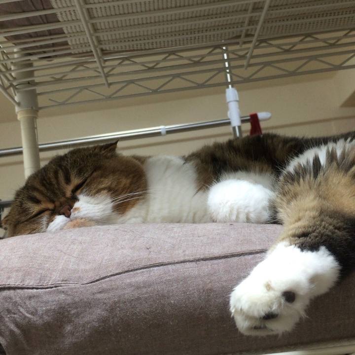 B20f287d 0d2c 4e2c bc47 afe32c186b89