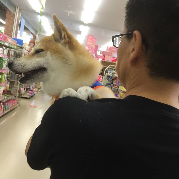 B20f456c 5e6e 40cf bdea a8612bc38922