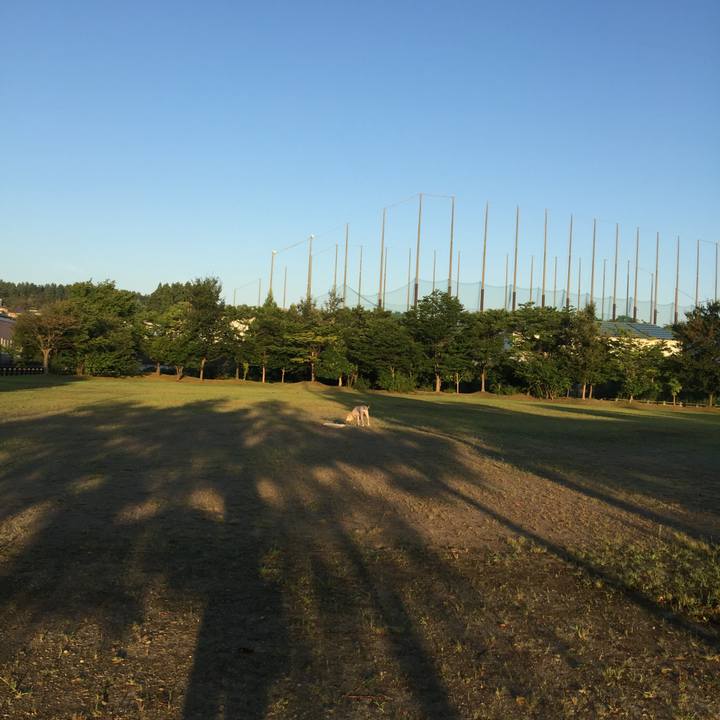 B20fb929 c49d 44a7 b600 8639e92b1ff5