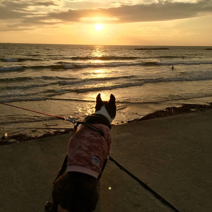 B20fbe34 7f6d 4edb a824 a66f241103f8