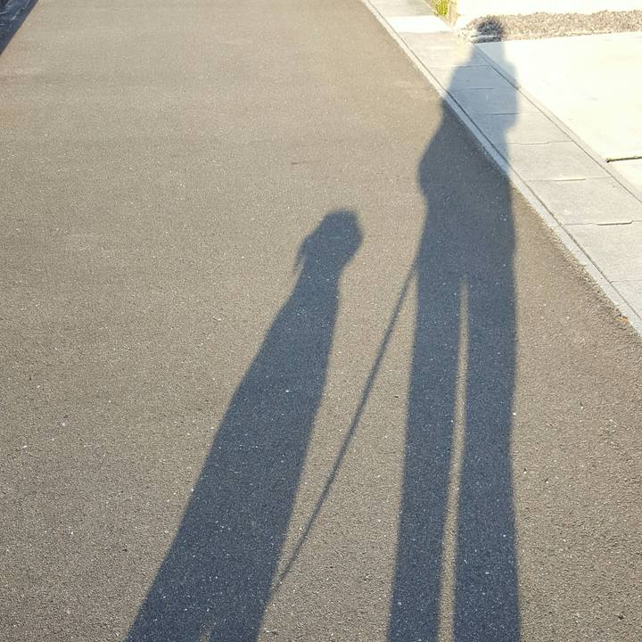 B20ff390 aa00 4e96 9e7b ebc916a8e95a