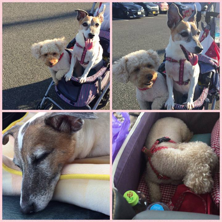 B210e68a f604 42c1 a181 8e2b3de819e0