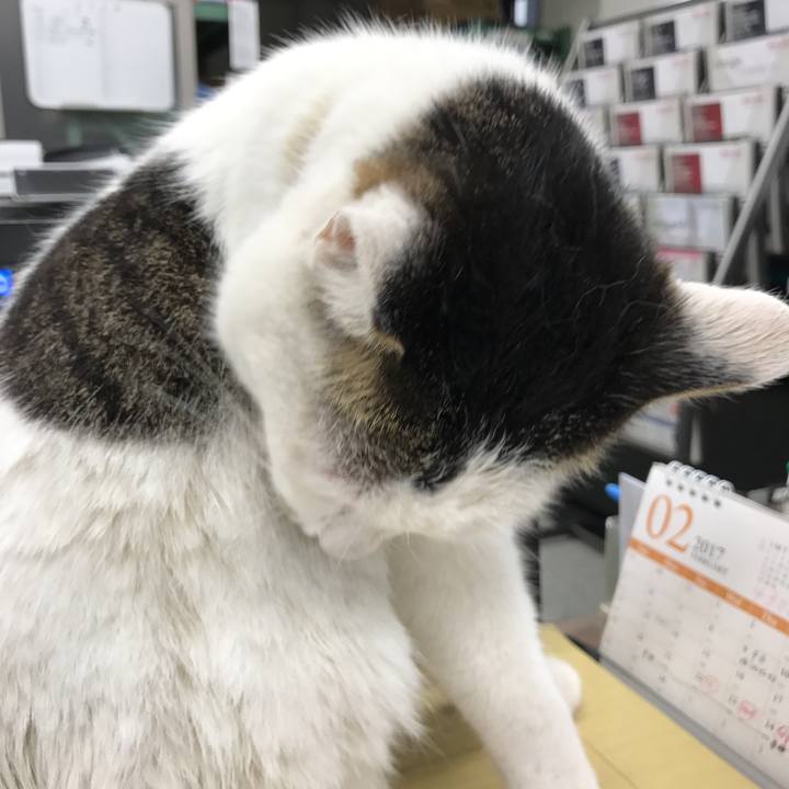 B210f02c 7bb6 4847 afe8 eda2663d8ee2