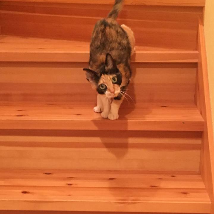 B2110909 1c02 4953 8f5b 702518dc50a0