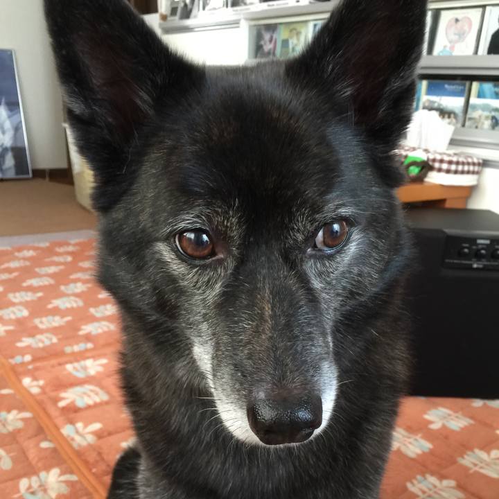 B21123b0 b992 45fd 9acd f7384e9e9324